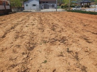 화원면 | 토지/임야 465.8㎡ 매매가 9,200만원 | 정직한공인중개사사무소 