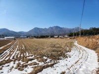 계곡면 | 토지/임야 4370㎡ 매매가 9,900만원 | 정직한공인중개사사무소 