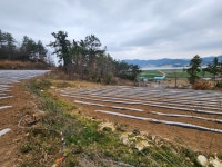 문내면 | 토지/임야 1372㎡ 매매가 8,500만원 | 정직한공인중개사사무소 