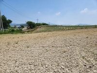 문내면 | 토지/임야 816㎡ 매매가 4,200만원 | 정직한공인중개사사무소 