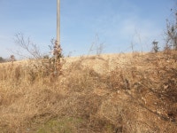 문내면 | 토지/임야 4988㎡ 매매가 9,000만원 | 한울공인중개사사무소 