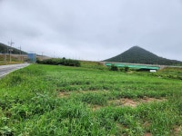 청계면 | 토지/임야 2574㎡ 매매가 17,900만원 | 정직한공인중개사사무소 