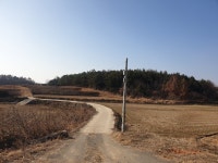 미암면 | 토지/임야 33058㎡ 매매가 100,000만원 | 한울공인중개사사무소 