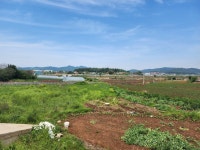 일로읍 | 토지/임야 3332㎡ 매매가 20,500만원 | 목화공인중개사사무소 