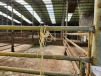 계곡면 | 기타 2089.27㎡ 매매가 10,000만원 | 한울공인중개사사무소 