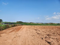 산이면 | 토지/임야 829㎡ 매매가 3,765만원 | 정직한공인중개사사무소 