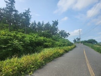 안좌면 | 토지/임야 3494.23㎡ 매매가 8,000만원 | 한울공인중개사사무소 