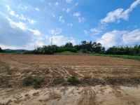 삼향읍 | 토지/임야 1445㎡ 매매가 11,800만원 | 정직한공인중개사사무소 