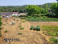 청계면 | 토지/임야 1081㎡ 매매가 3,700만원 | 에스비공인중개사사무소 