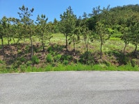 하의면 | 토지/임야 2125.63㎡ 매매가 3,500만원 | 공인중개사 이용식 사무소 