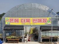 유달정보-(주)유미디어