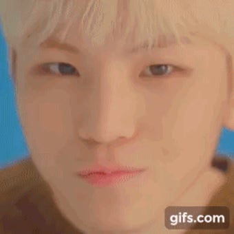 늦덬 큐앤에이 뮤비 이제봤는데 이거 뭐가 이렇게 귀여움? - 세븐틴(SEVENTEEN) 카테고리
