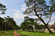 장안의 풍경 - 장안구청