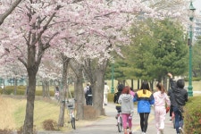 장안의 풍경 - 장안구청