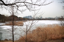 장안의 풍경 - 장안구청