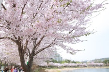 장안의 풍경 - 장안구청