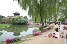 장안의 풍경 - 장안구청