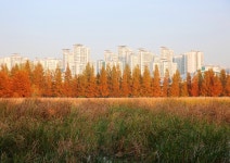 장안의 풍경 - 장안구청