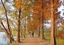 장안의 풍경 - 장안구청