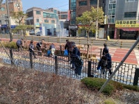 장안구청 > 장안 홍보관 > 수원시 장안구 정자1동, 행복홀씨 입양사업 추진