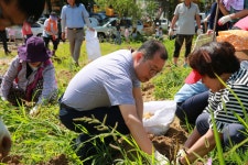 장안 사진첩 - 장안구청
