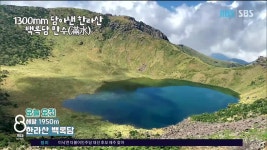 JIBS | 뉴스 다시 보기 제주, 수원지법 김 회장 인사 조치 무효 단정 어렵다