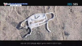JIBS | 정규프로그램 클릭! NOW 제주