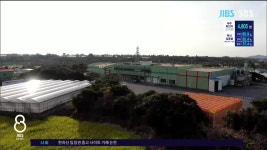 JIBS | 뉴스 다시 보기 제주, 감귤 가공 물량은 늘었는데,,,100억 가공공장 멈춰서