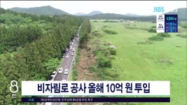 JIBS | 뉴스 다시 보기 제주, 비자림로 공사 올해 10억 원 투입