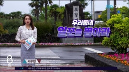 JIBS | 뉴스 다시 보기 [서수현 선거캐스터] 서귀포시 송산·효돈·영천동  도의원 선거구