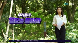 JIBS | 뉴스 다시 보기 [서수현 선거캐스터] 제주시 연동 을 선거구