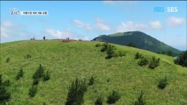 JIBS | 정규프로그램 하이 제주