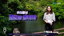 JIBS | 뉴스 다시 보기 [서수현 선거캐스터] 서귀포 정방,중앙,천지,서홍동  김용범-강상수