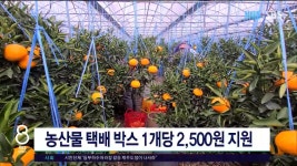 JIBS | 뉴스 다시 보기 농산물 택배 박스 1개당 2,500원 지원