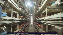 JIBS | 뉴스 다시 보기 잠 못 이루는 밤...20일 넘게 열대야