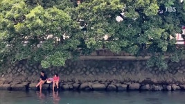 JIBS | 전체 뉴스기사 [제시카] 더위가 싹 제주 도심 속 시원한 용천수  월대천