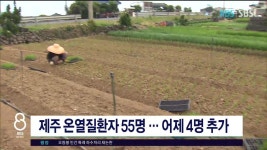 JIBS | 뉴스 다시 보기 제주 온열질환자 55명.. 어제 4명 추가