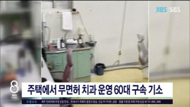 JIBS | 뉴스 다시 보기 수형인 명예회복  속도