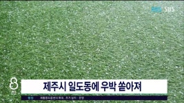 JIBS | 뉴스 다시 보기 제주시 일도동에 우박 쏟아져