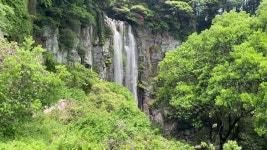 JIBS | 전체 뉴스기사 [영상] 한라산 폭우 쏟아지더니 엉또폭포도 터졌네