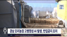 JIBS | 뉴스 다시 보기 제주, 새해설계도 못 한다....내년 전망 불투명