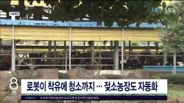 JIBS | 뉴스 다시 보기 행정체제 개편 두 개안 도출, 기초자치단제, 행정시장  직선