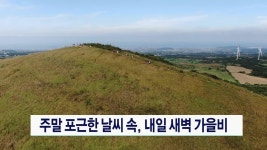 JIBS | 뉴스 다시 보기 도민체전...건강,지역 화합 견인