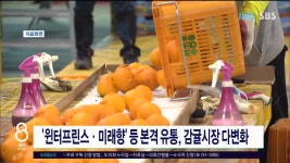 JIBS | 뉴스 다시 보기 허창옥 스마트팜 사업 철회돼야