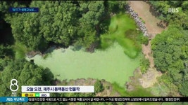 JIBS | 뉴스 다시 보기 습지와 공존 생태 교실로 변한 동백동산
