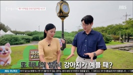 JIBS | 정규프로그램 혼저옵서예