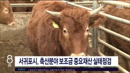 JIBS | 뉴스 다시 보기 또 오수 유출...대처는 미흡