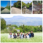 놈삐 꽃 보러 옵써 - 제주의 마을 남원읍 하례2리