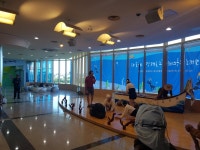 2019년 해녀박물관 상설 공연 (10.09) - 제주해녀박물관 2019년 해녀박물관 상설 공연 (10.09)  | 제주특별자치도청