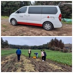 하례리 월동무 직거래 와 복지시설 나눔 - 제주의 마을 남원읍 하례2리